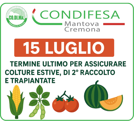 Polizze produzioni vegetali: Ultimo Giorno il 15 Luglio! 🌽🍅🍈