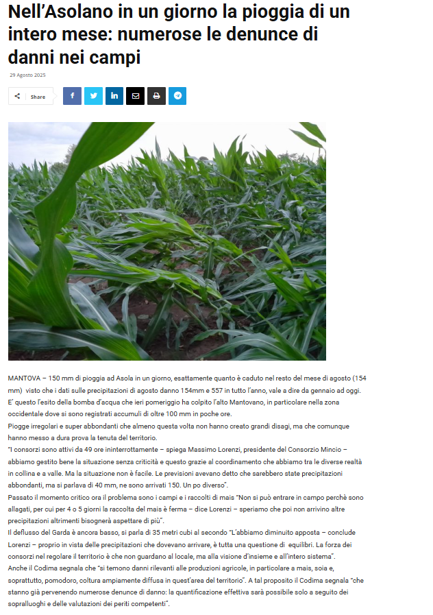 Nubifragio nel Mantovano: più di 100 mm di pioggia e pesanti danni alle campagne