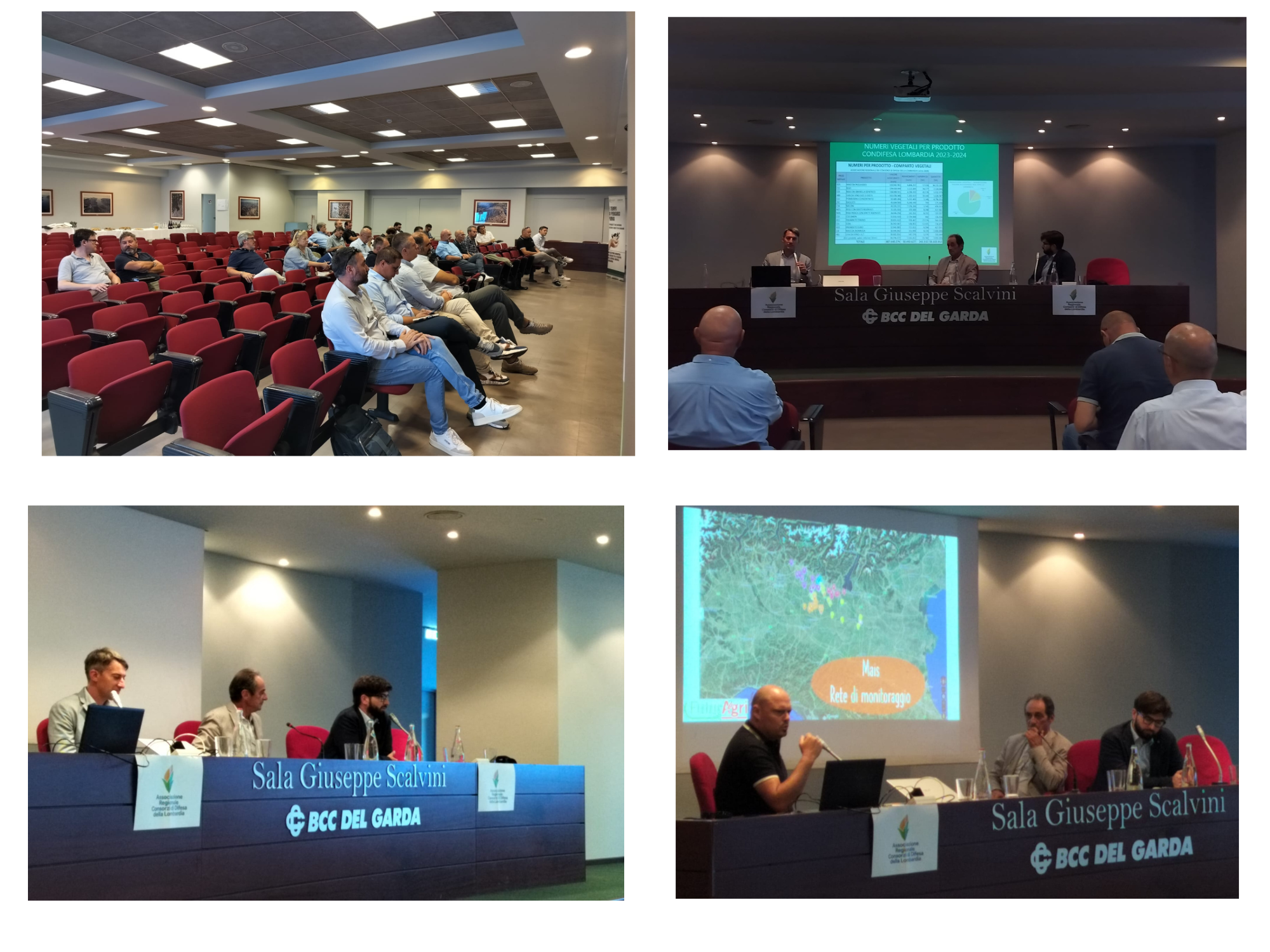 🏢🌱 INCONTRO CONSORZI DIFESA - CORPO PERITALE – Guarda le immagini📸