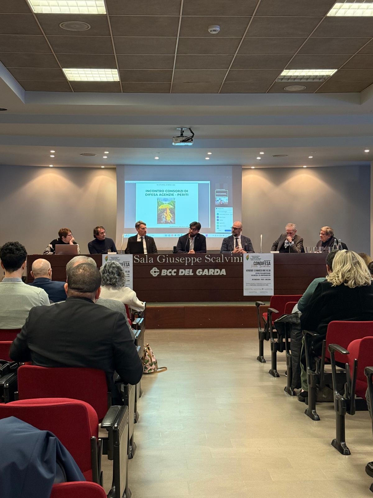 GUARDO LE FOTO DELLA GIORNATA