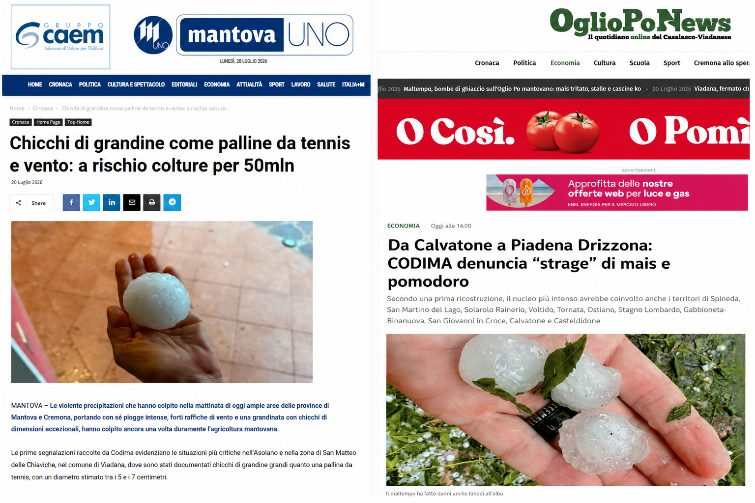 🌨️ Maltempo devastante: ancora danni alle colture tra Mantovano e Casalasco 🌽
