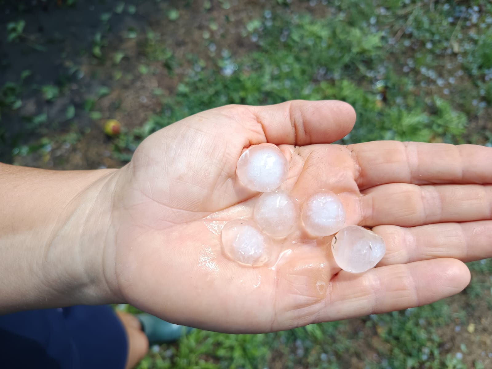 IMMAGINI DEI DANNI NELLE PROVINCIE DI MANTOVA E CREMONA